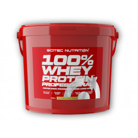 100% Whey Protein Professional 5000g - vanilie