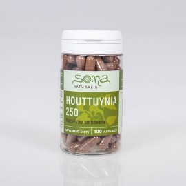 Houttuynia cordata capsule 250 mg x 100 capsule