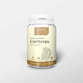 Cordyceps 500 mg x 100 capsule - Cordyceps sinensis