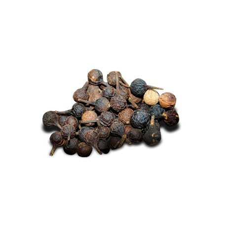 Ardei Cubeba - Piper cubeba - 50g întreg